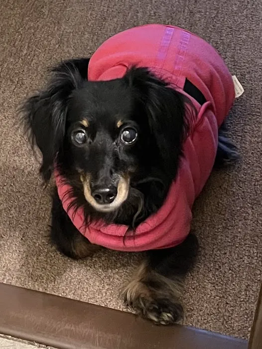 Allegheny South Veterinary Services 4