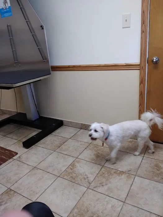 Allegheny North Veterinary Hospital 6