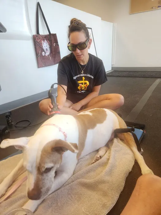 Steel City Canine Rehabilitation & Sports Medicine 6