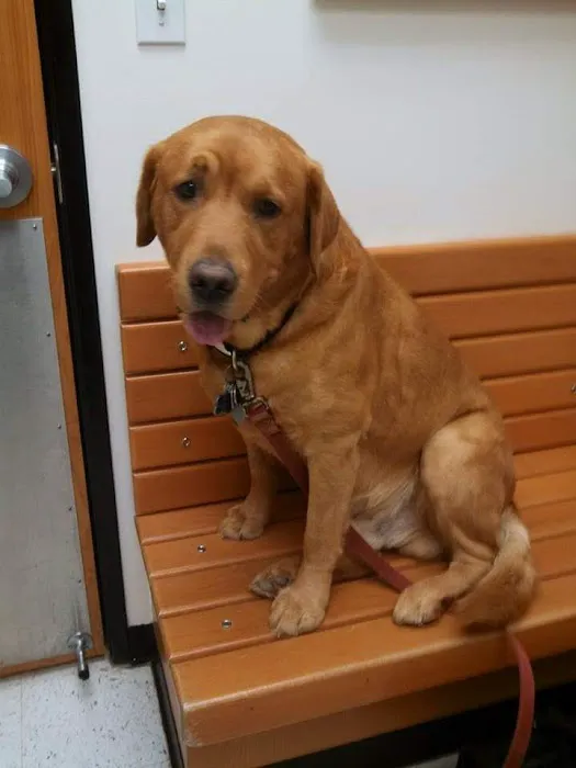 Banfield Pet Hospital 1