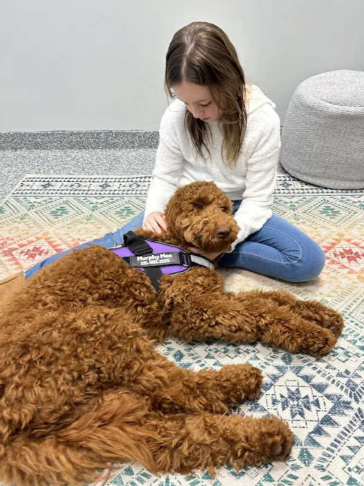 PetVet365 Pet Hospital Pittsburgh/Ross Park 4