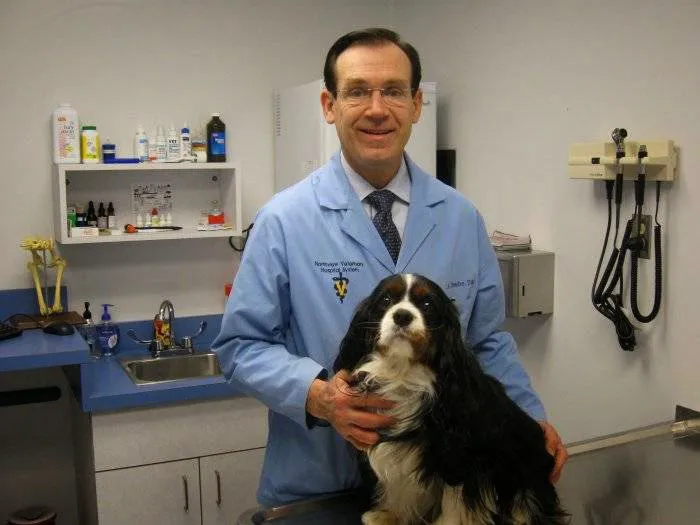 VCA Northview Animal Hospital Specialty Referral Center 1