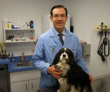 VCA Northview Animal Hospital Specialty Referral Center