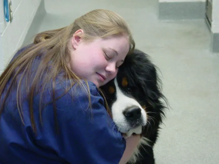 VCA Northview Animal Hospital Specialty Referral Center 8