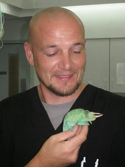 VCA Northview Animal Hospital Specialty Referral Center 3