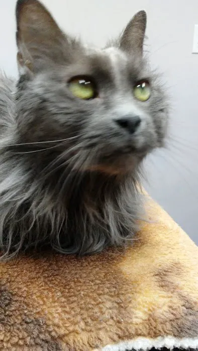 Avalon Veterinary Hospital 1