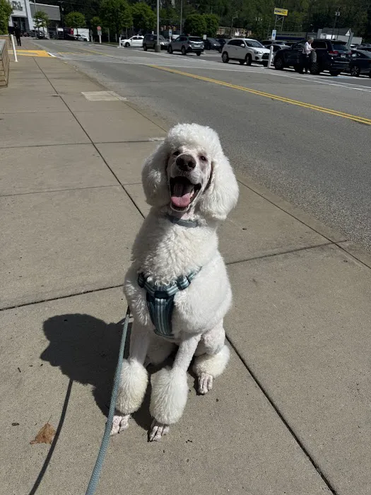 Avalon Veterinary Hospital 8
