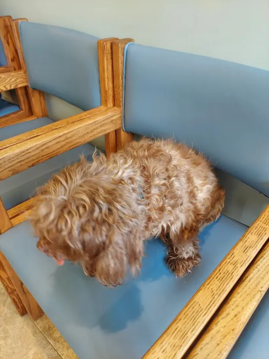 Avalon Veterinary Hospital 7