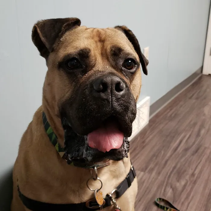Avalon Veterinary Hospital 10