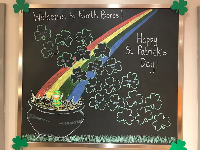 North Boros Veterinary Hospital 4
