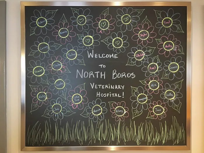 North Boros Veterinary Hospital 3