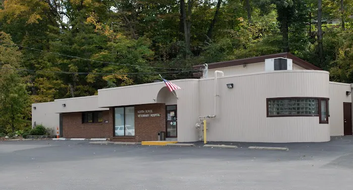 North Boros Veterinary Hospital 1