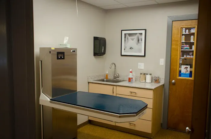 North Boros Veterinary Hospital 6