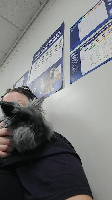 Northside Animal Hospital 3