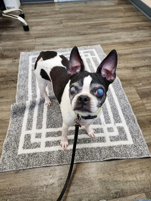 Windrose Animal Hospital & Urgent Care 5