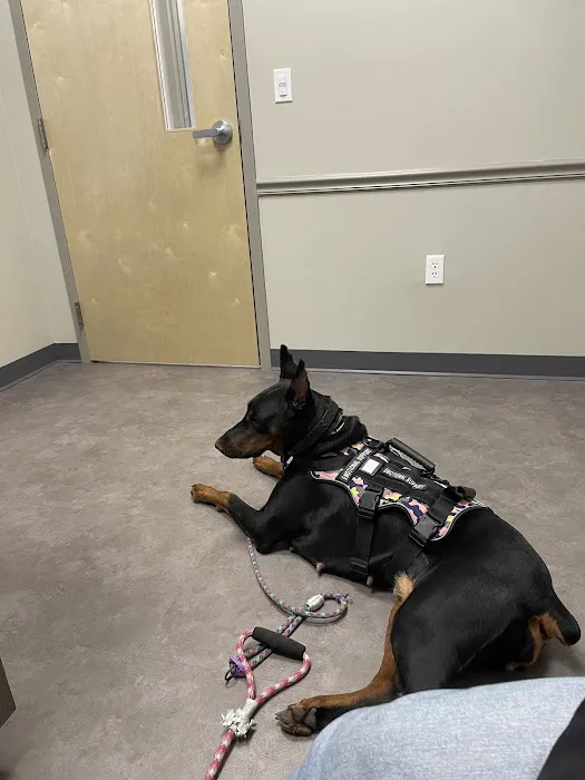 Seven Fields Veterinary Hospital 6