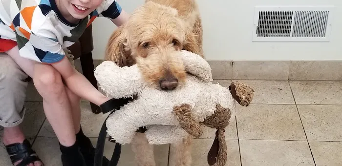 Good Shepherd Veterinary Hospital 1