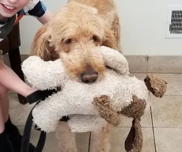 Good Shepherd Veterinary Hospital