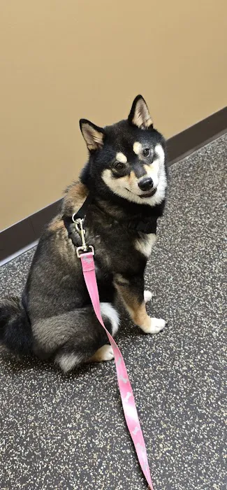 Animal Medical and Surgical Center 7