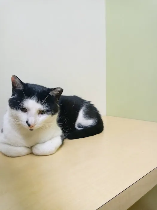 Animal Medical and Surgical Center 3