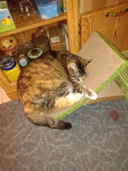 Slippery Rock Veterinary Hospital 4