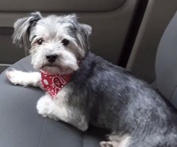 Slippery Rock Veterinary Hospital