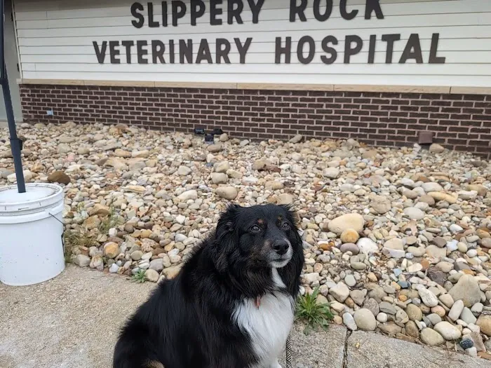 Slippery Rock Veterinary Hospital 7