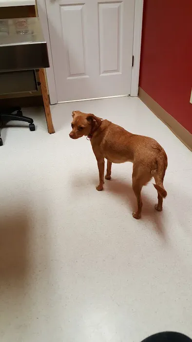 Slippery Rock Veterinary Hospital 10