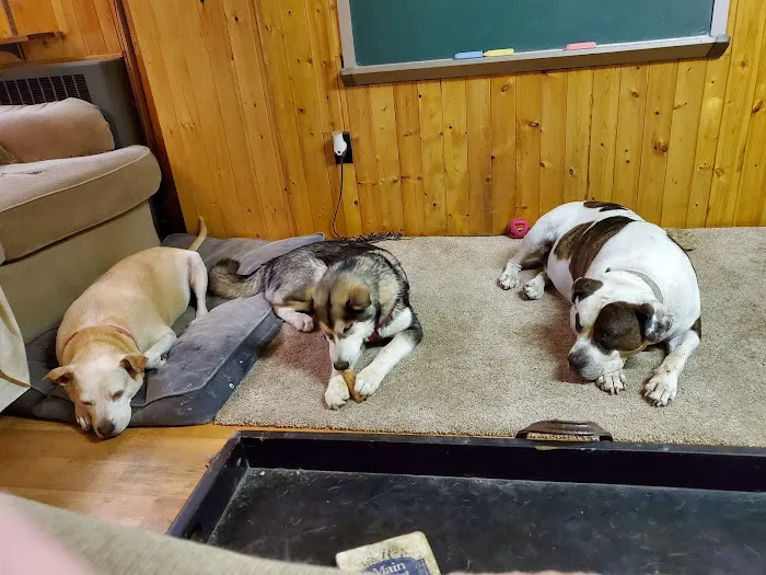 Whispering Pines Veterinary Services - Grove City 9