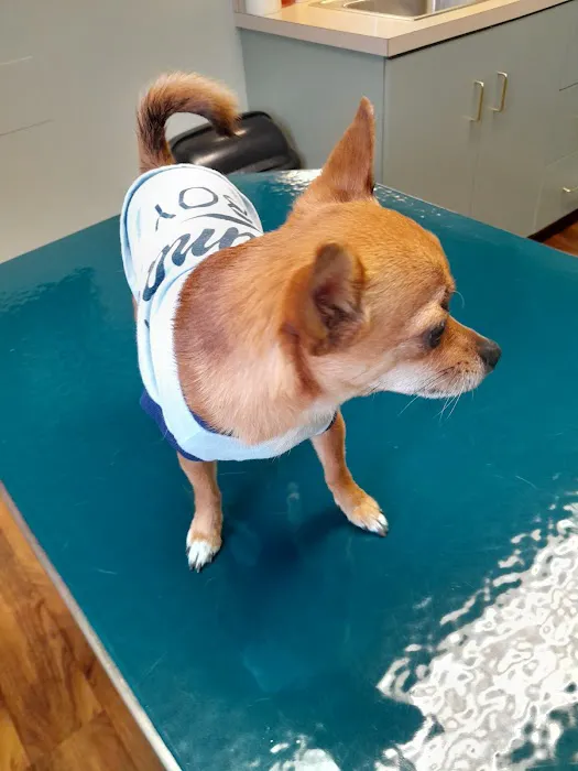 Whispering Pines Veterinary Services - Grove City 6