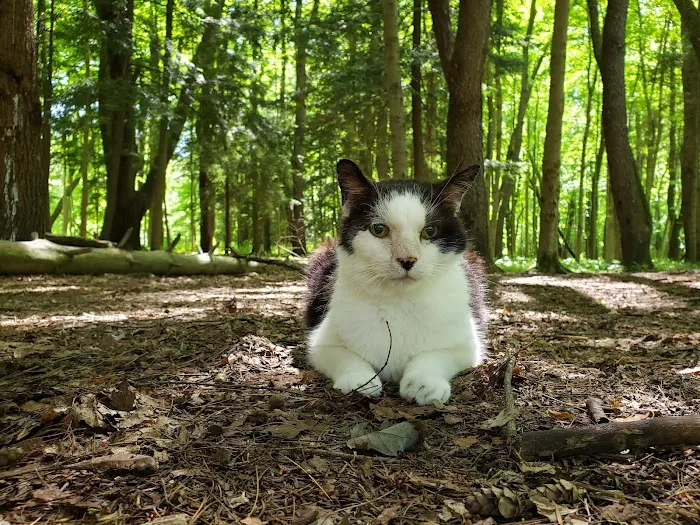 Whispering Pines Veterinary Services - Grove City 7