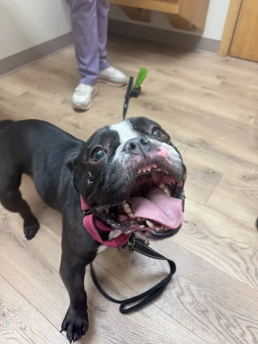 Suburban Animal Clinic 1