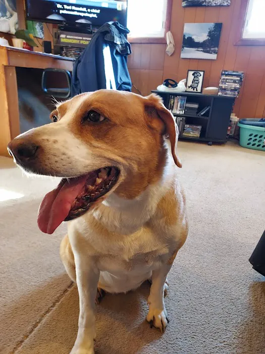 Butler Veterinary Associates and Emergency Center 3