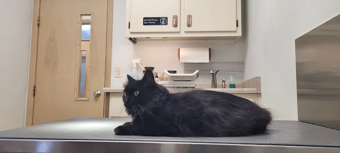 Mars Animal Depot Veterinary 4