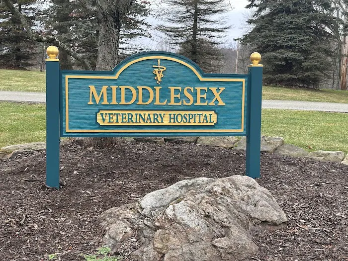 Middlesex Veterinary Hospital 1