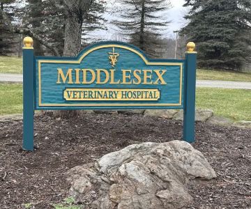 Middlesex Veterinary Hospital