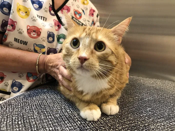 Middlesex Veterinary Hospital 3