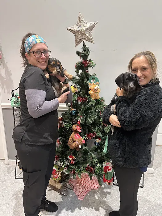 Middlesex Veterinary Hospital 6