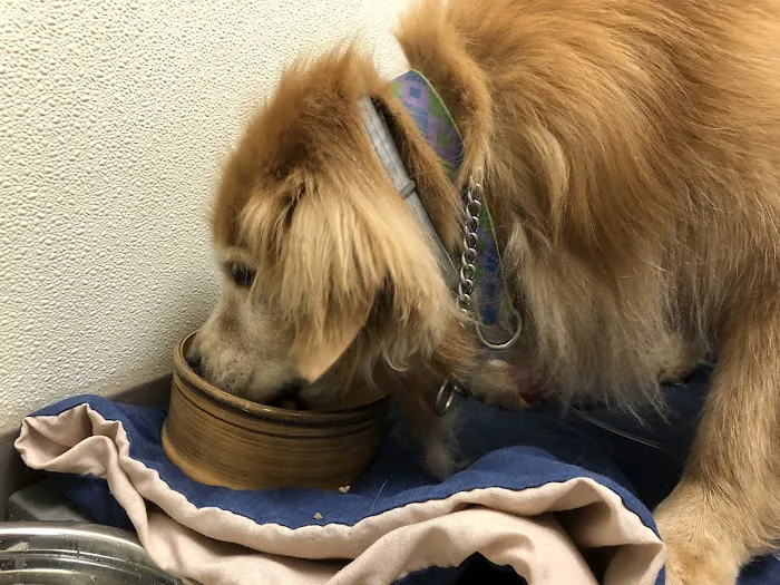 Middlesex Veterinary Hospital 8