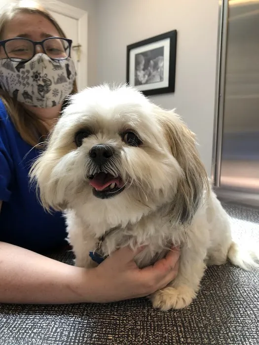 Middlesex Veterinary Hospital 4