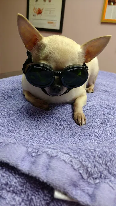 Conneaut Lake Veterinary Hospital 8