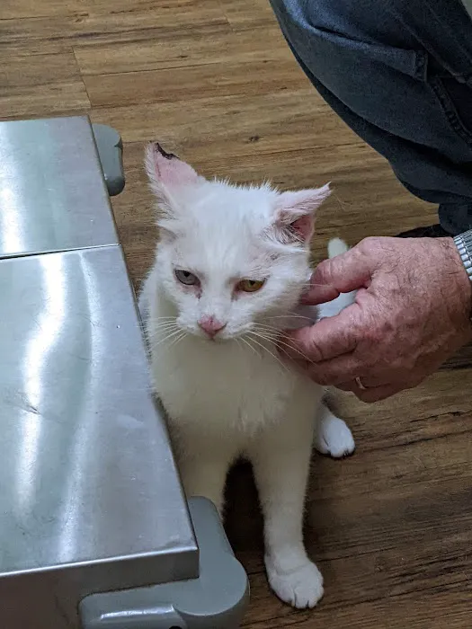 Animal Hospital of Meadville 2