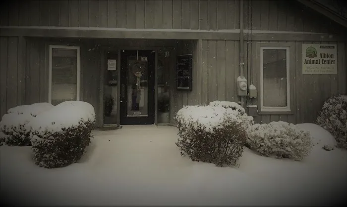 Albion Animal Center 3