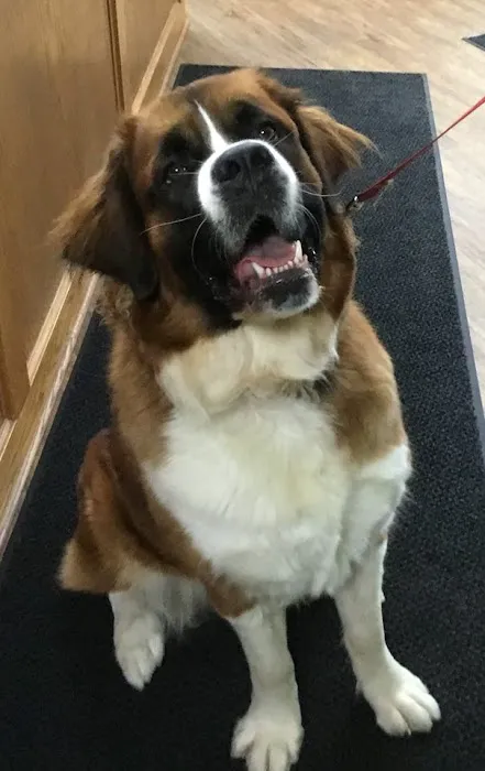 Albion Animal Center 5