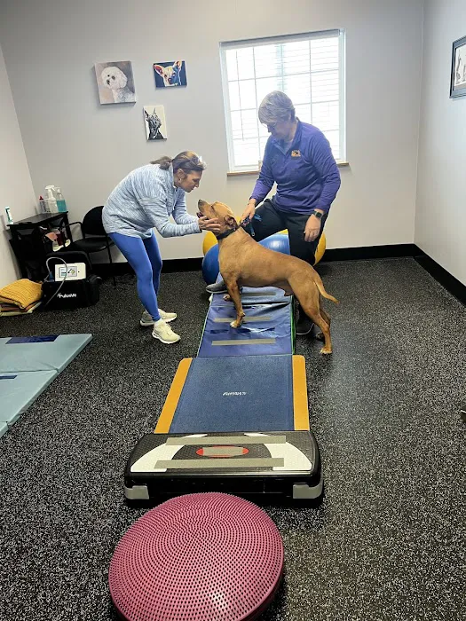 Balance Veterinary Rehabilitation Services 6