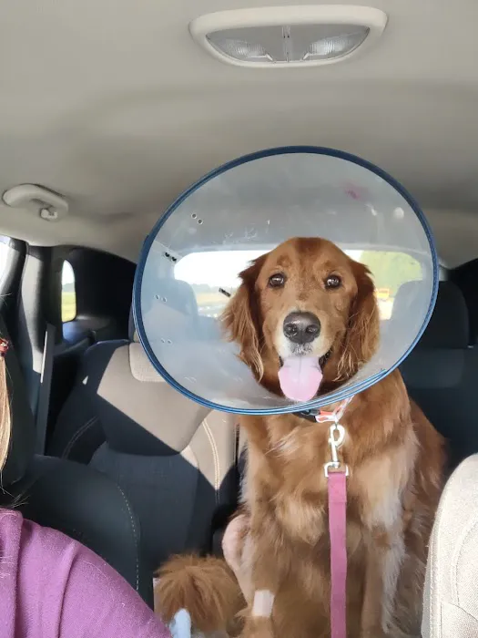 Balance Veterinary Rehabilitation Services 2