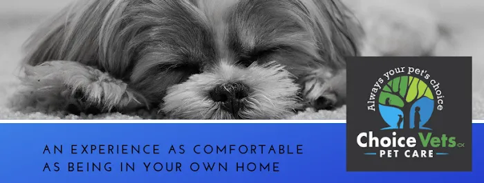 PetDentistry.com at Regional Veterinary Center | Fairview Campus 3