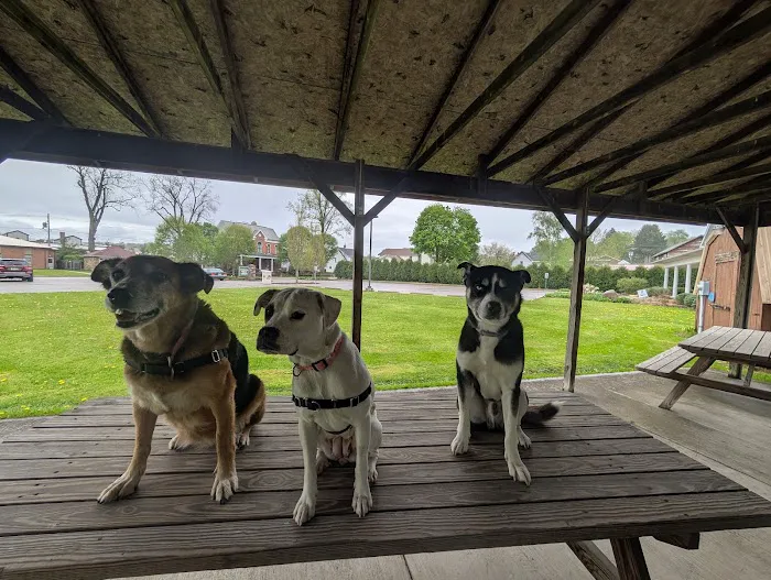 Crawford County Humane Society Veterinary Hospital 5