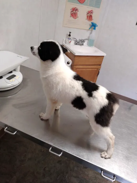 Woodcock Animal Clinic 5