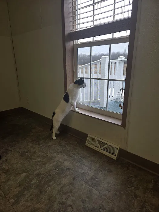 Woodcock Animal Clinic 3
